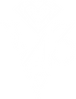 Vault 43 Logo, Letter V with the number 43 and a Diamond shape